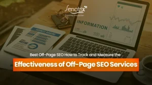 off page seo service