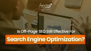 off page seo service
