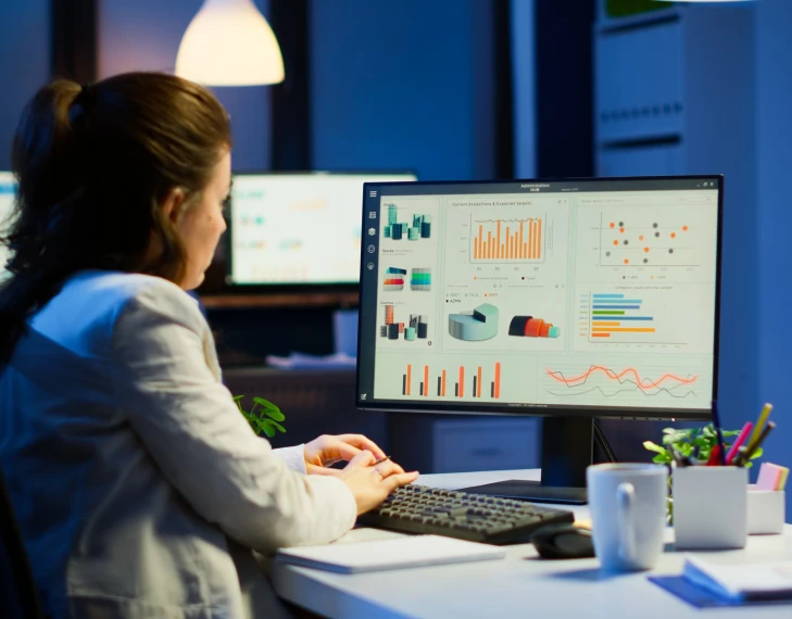 seo auditing