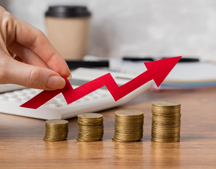 maximise ongoing profits